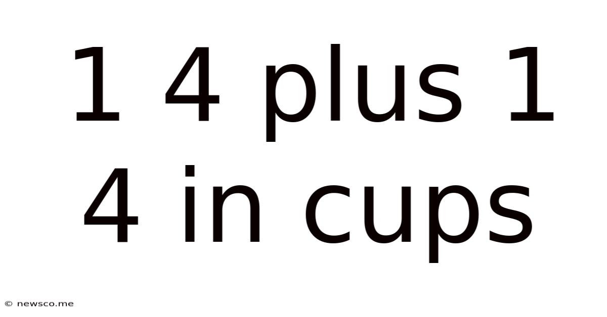 1 4 Plus 1 4 In Cups