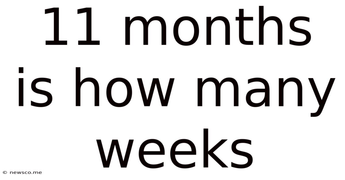 11 Months Is How Many Weeks