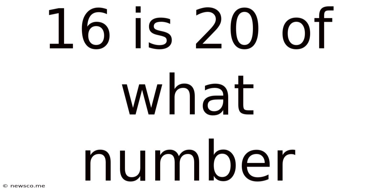 16 Is 20 Of What Number