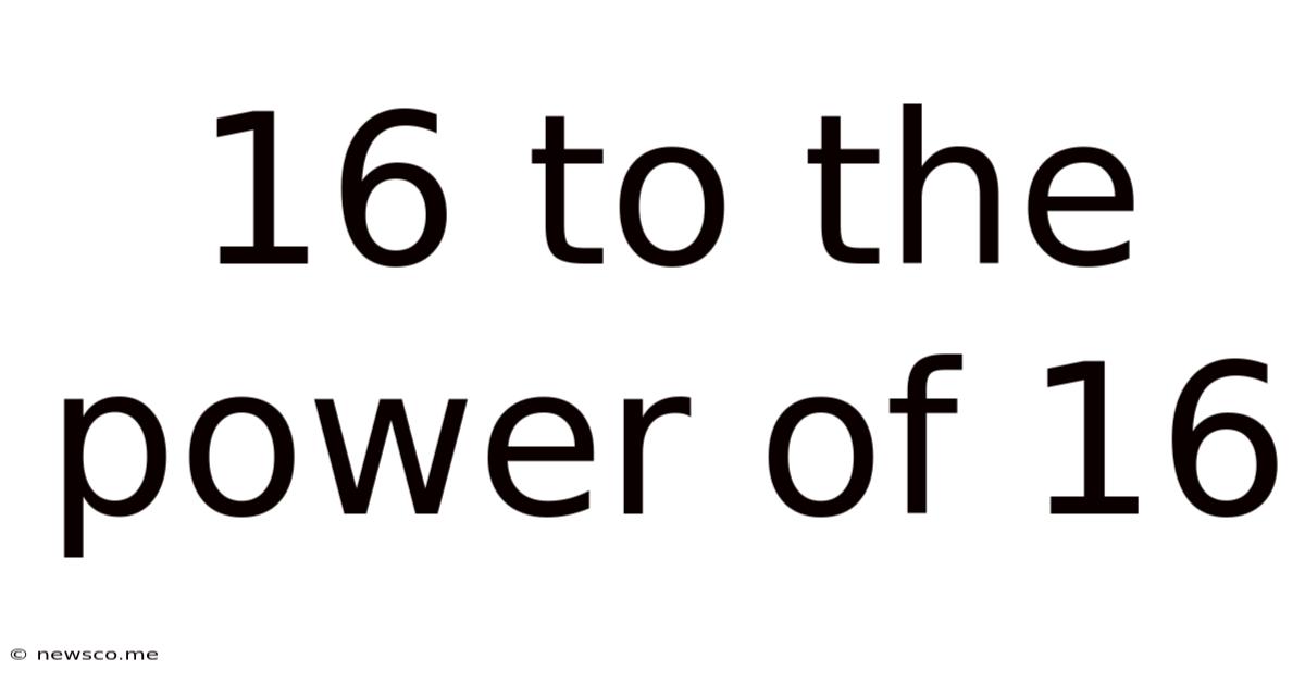16 To The Power Of 16