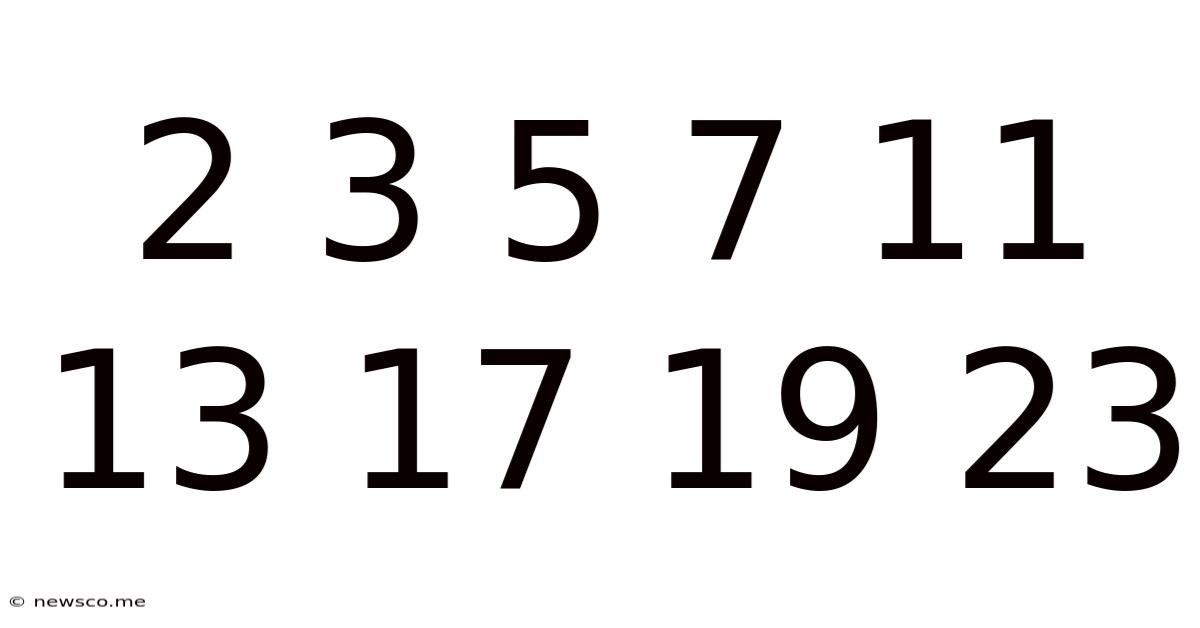 2 3 5 7 11 13 17 19 23