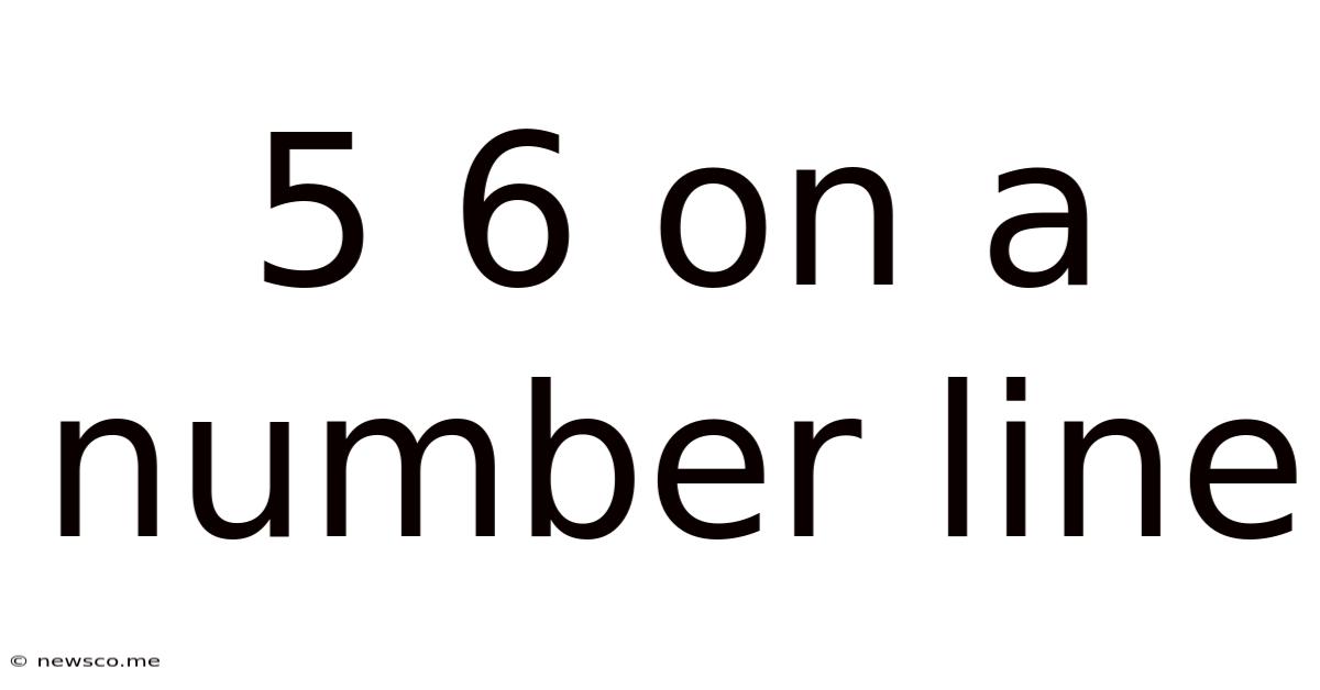 5 6 On A Number Line