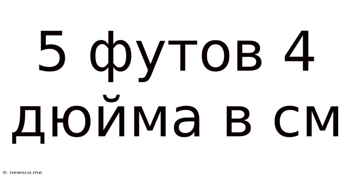 5 Футов 4 Дюйма В См