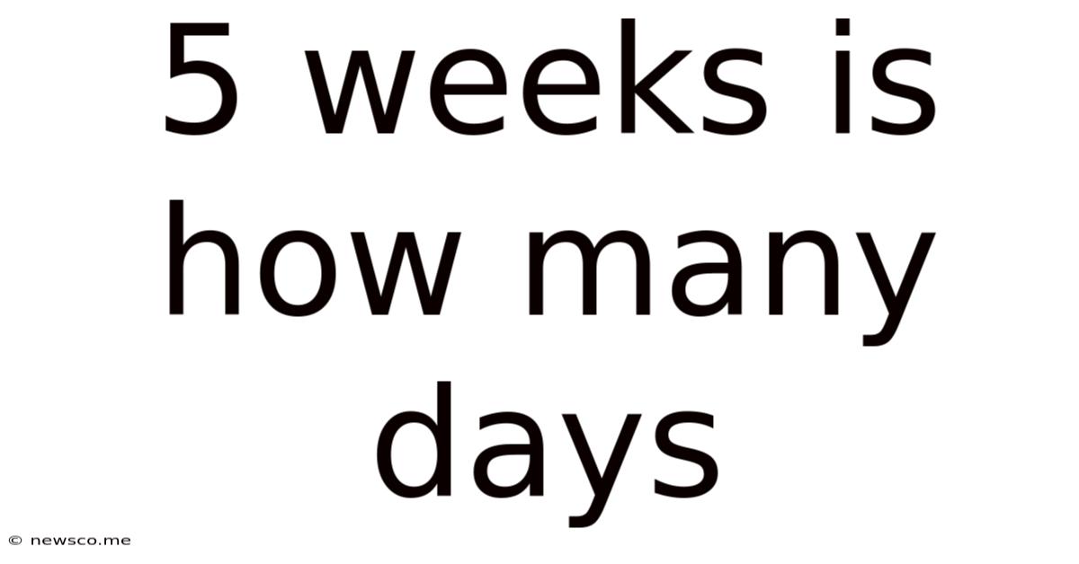 5 Weeks Is How Many Days