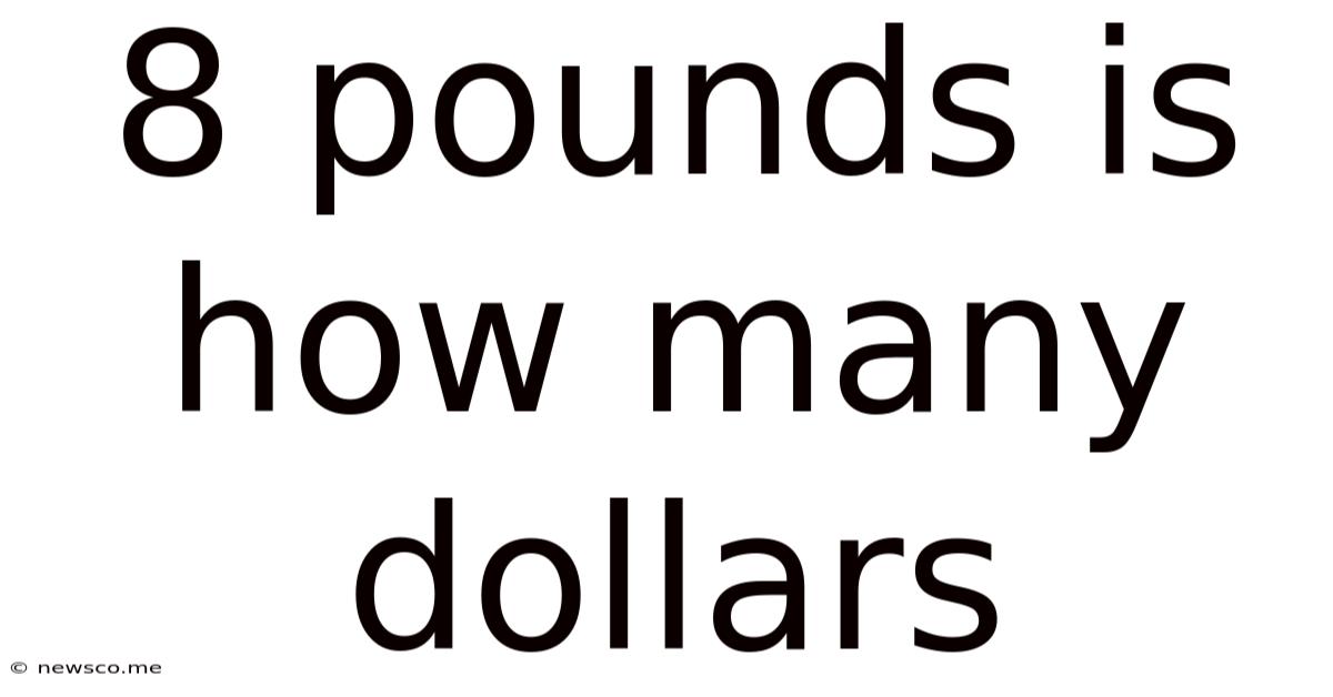 8 Pounds Is How Many Dollars