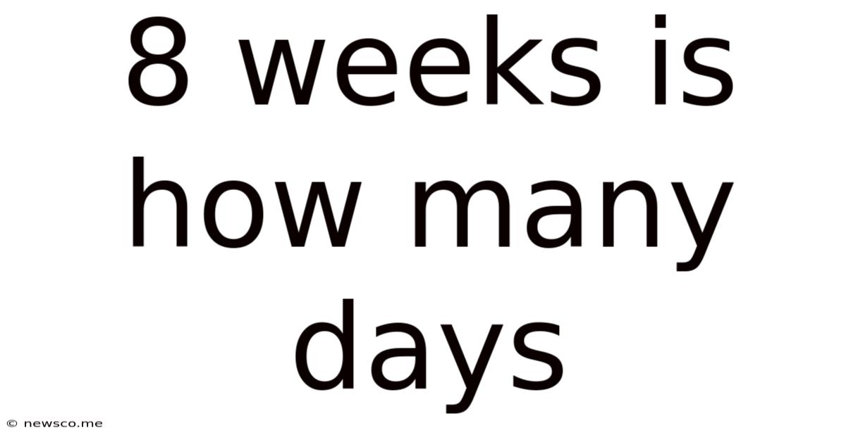 8 Weeks Is How Many Days