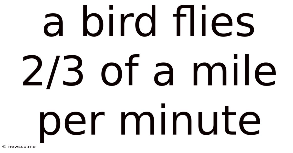 A Bird Flies 2/3 Of A Mile Per Minute