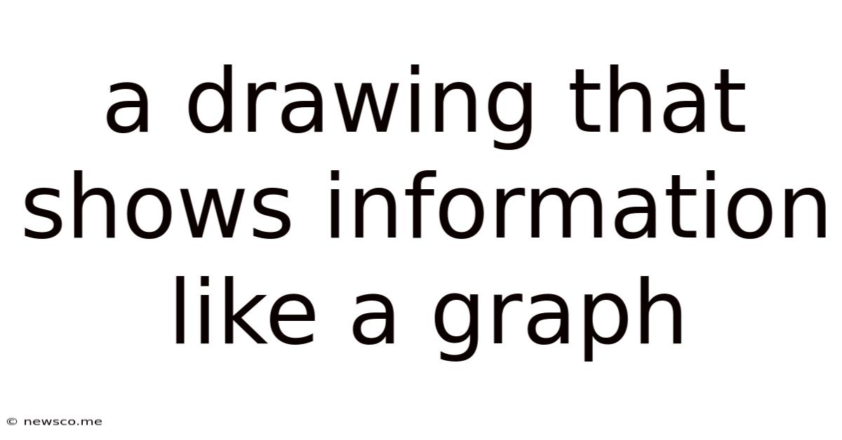 A Drawing That Shows Information Like A Graph