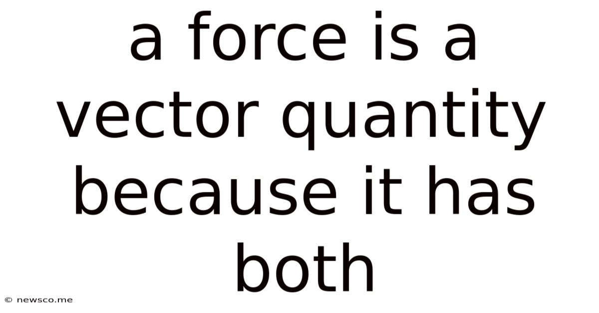 A Force Is A Vector Quantity Because It Has Both