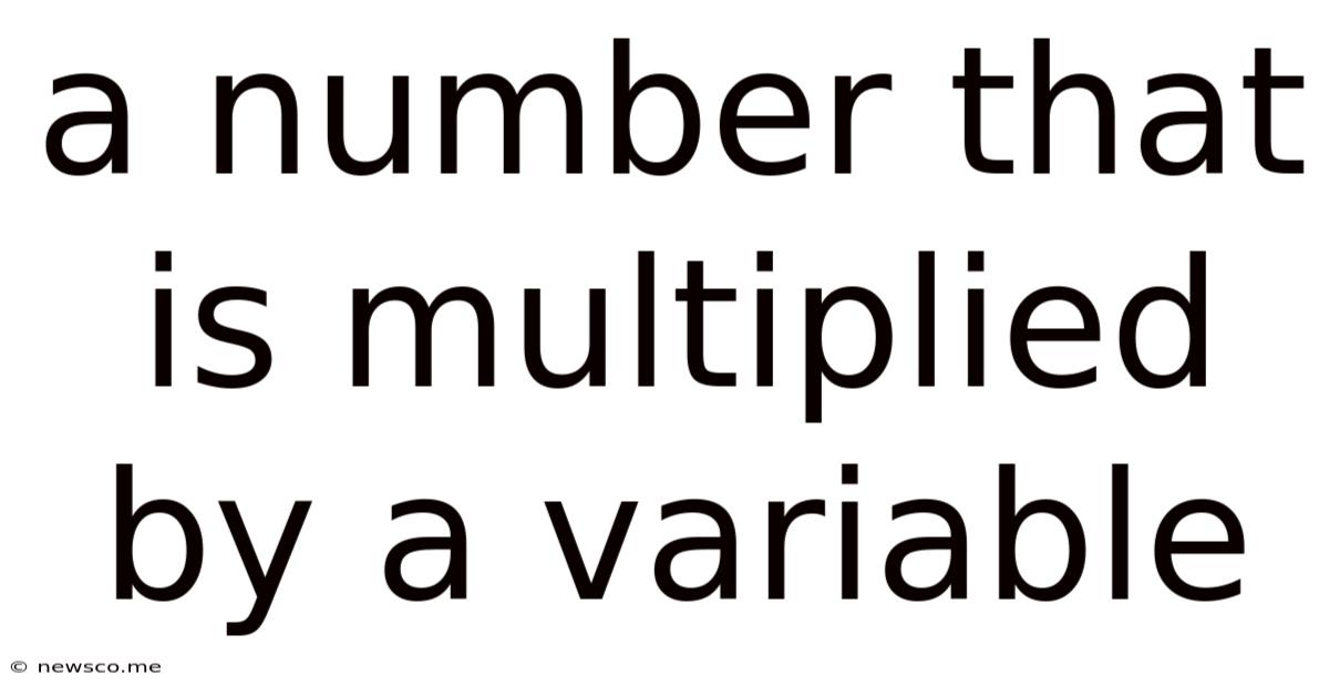 A Number That Is Multiplied By A Variable