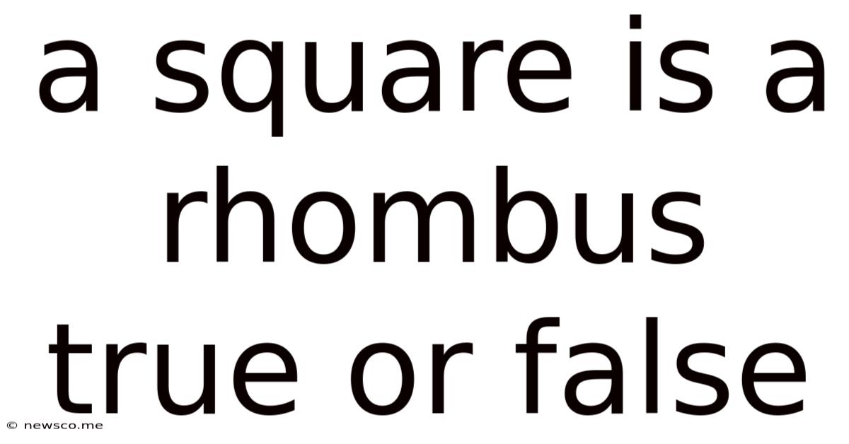 A Square Is A Rhombus True Or False