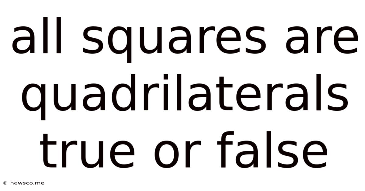 All Squares Are Quadrilaterals True Or False