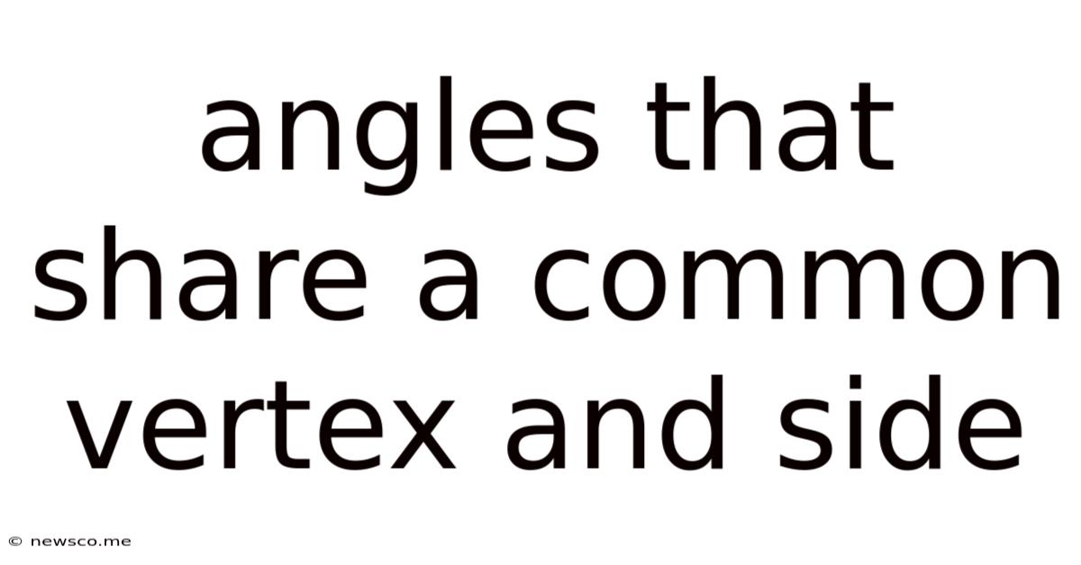 Angles That Share A Common Vertex And Side
