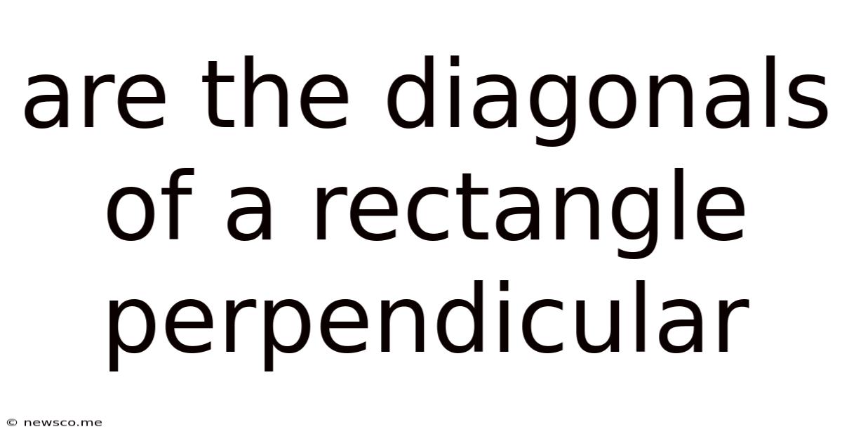 Are The Diagonals Of A Rectangle Perpendicular
