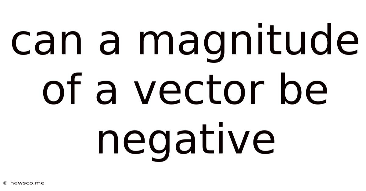 Can A Magnitude Of A Vector Be Negative