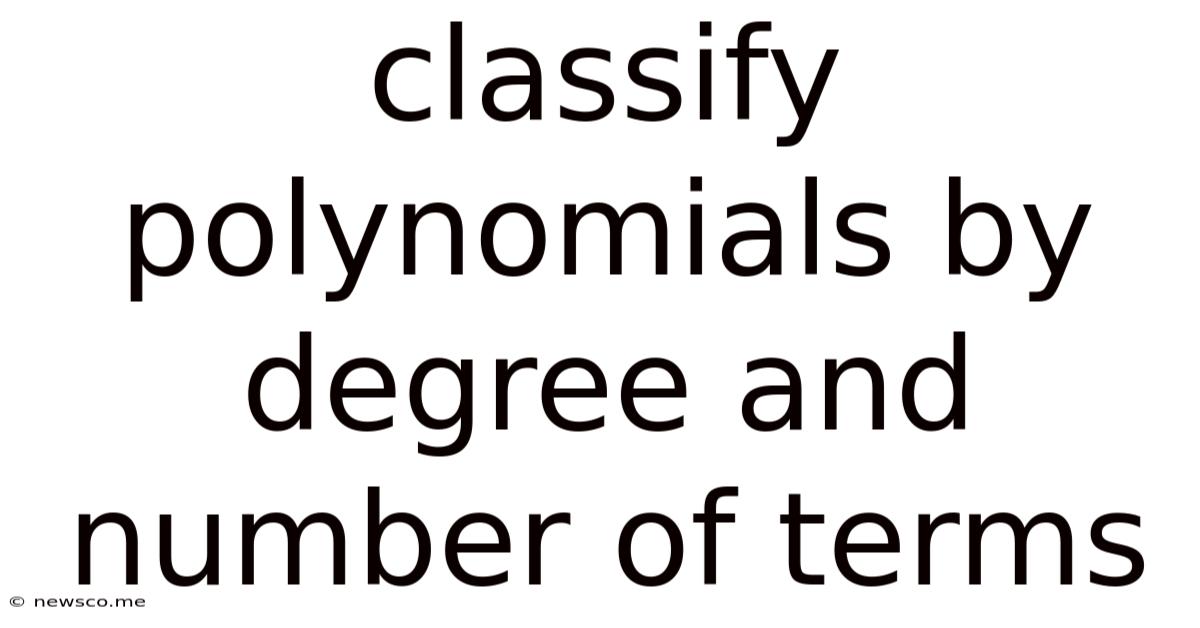 Classify Polynomials By Degree And Number Of Terms