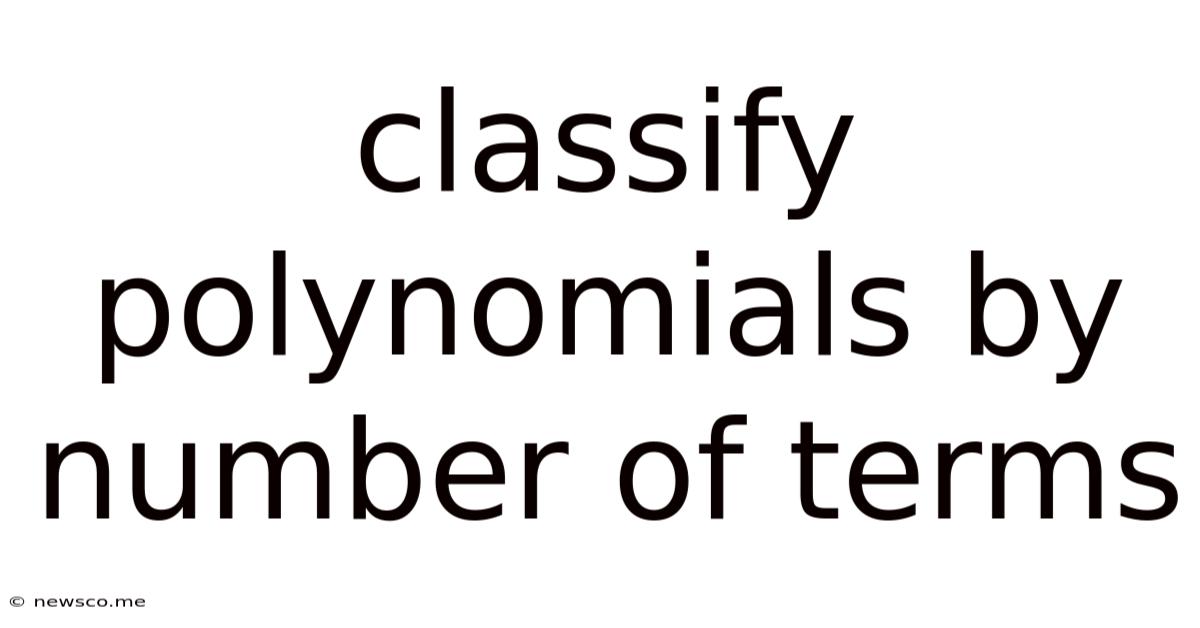Classify Polynomials By Number Of Terms