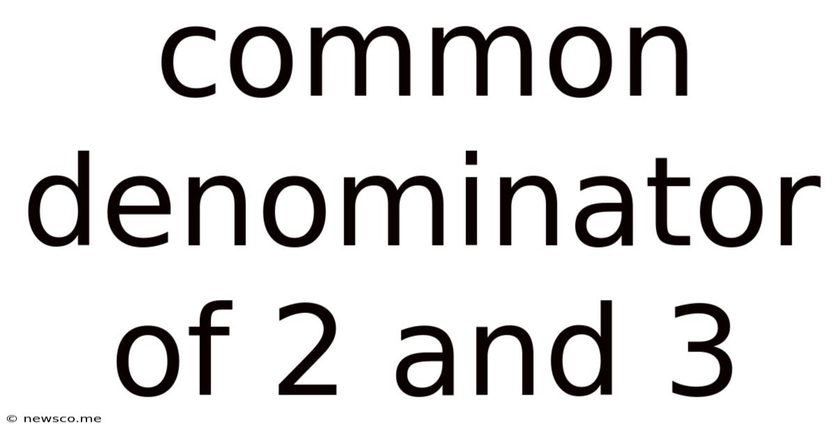 Common Denominator Of 2 And 3