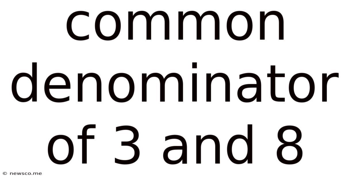 Common Denominator Of 3 And 8