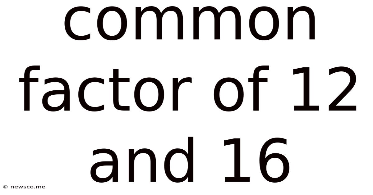 Common Factor Of 12 And 16