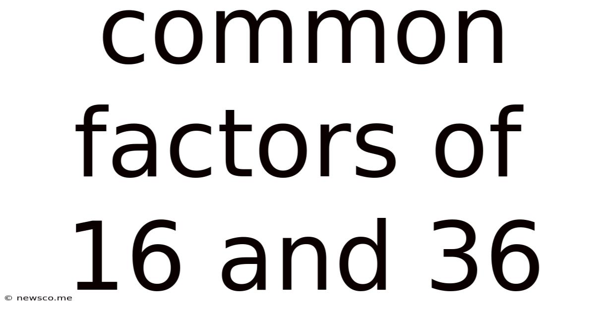 Common Factors Of 16 And 36