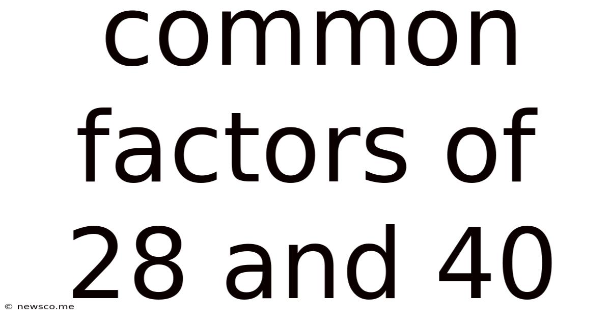 Common Factors Of 28 And 40