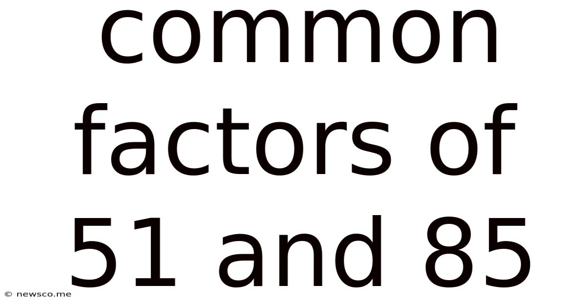 Common Factors Of 51 And 85