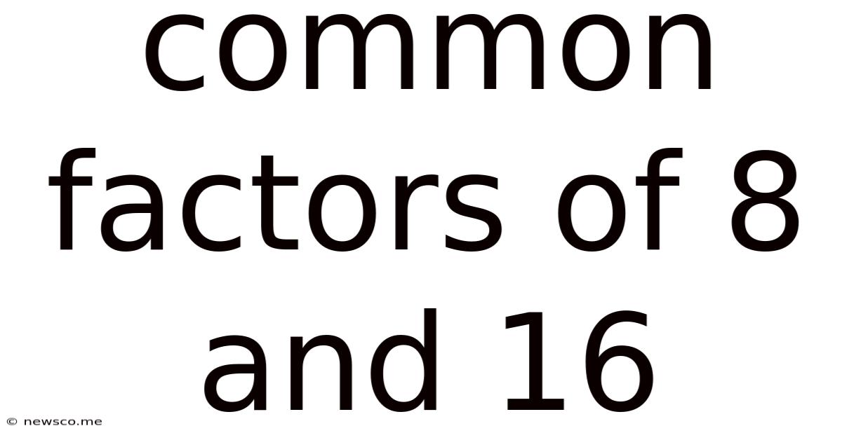 Common Factors Of 8 And 16