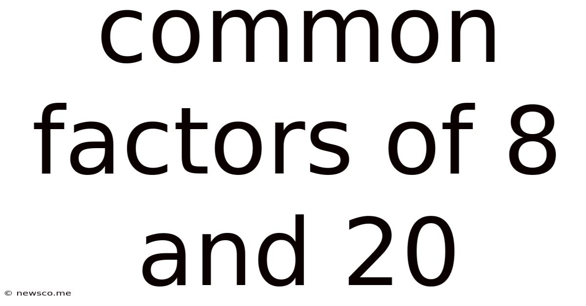 Common Factors Of 8 And 20