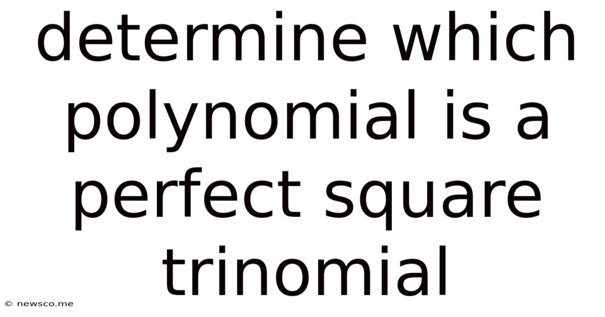 Determine Which Polynomial Is A Perfect Square Trinomial
