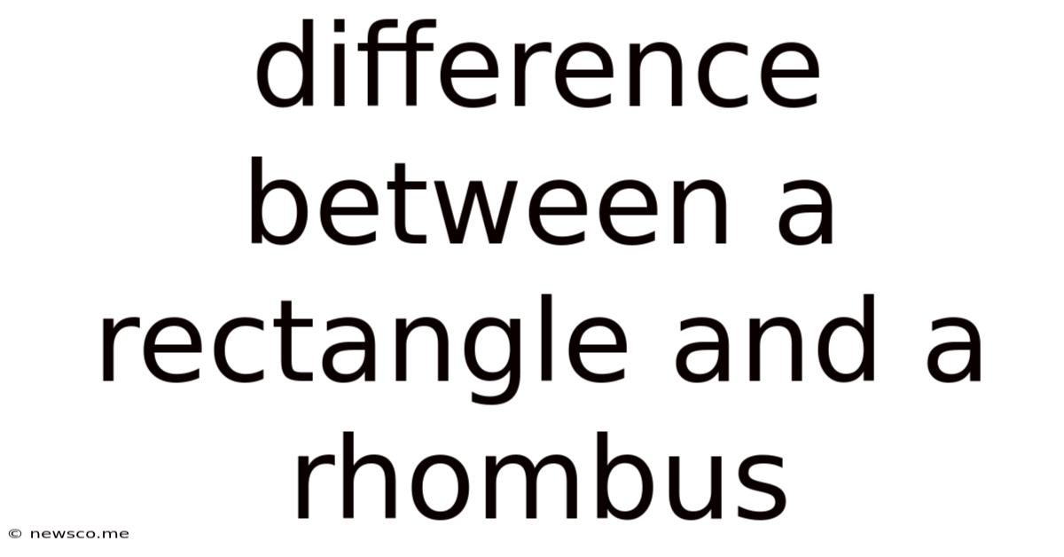 Difference Between A Rectangle And A Rhombus
