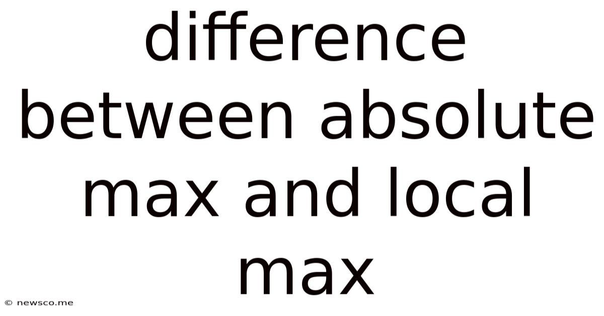 Difference Between Absolute Max And Local Max