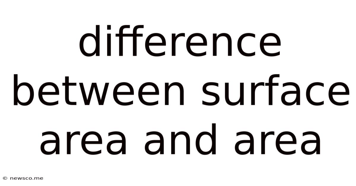 Difference Between Surface Area And Area