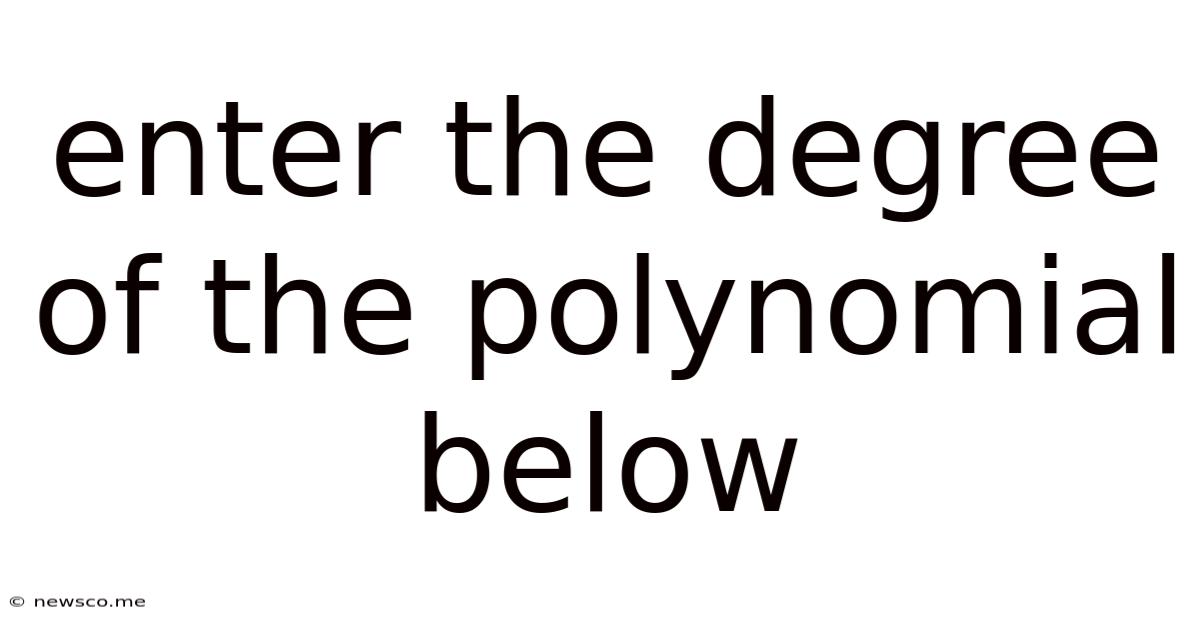 Enter The Degree Of The Polynomial Below