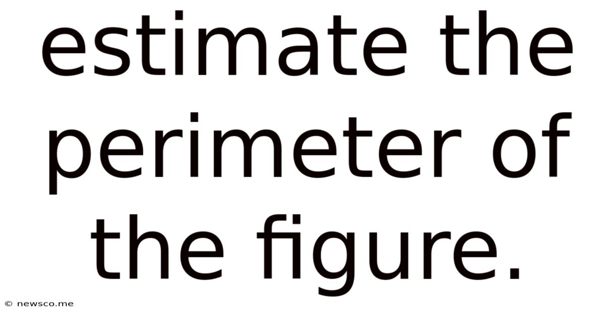 Estimate The Perimeter Of The Figure.