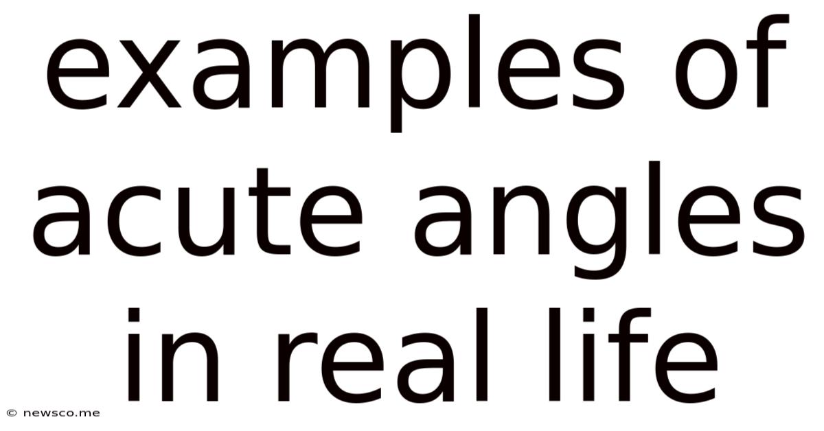 Examples Of Acute Angles In Real Life