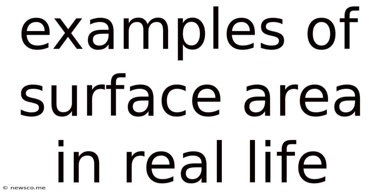 Examples Of Surface Area In Real Life