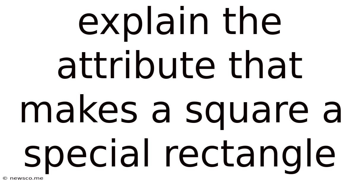 Explain The Attribute That Makes A Square A Special Rectangle