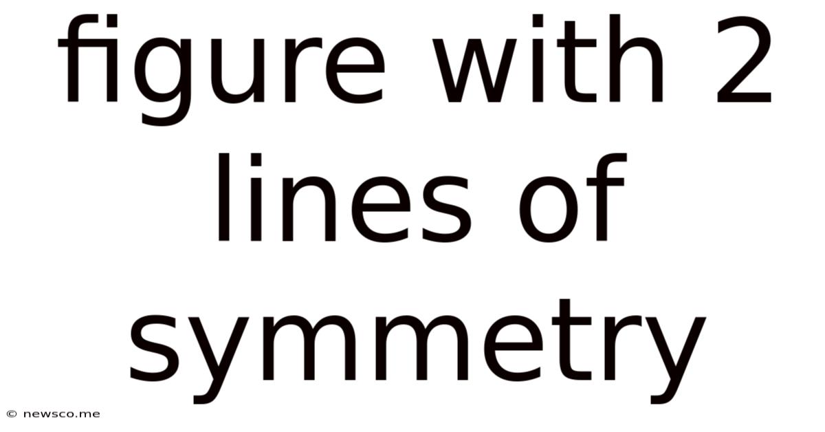 Figure With 2 Lines Of Symmetry