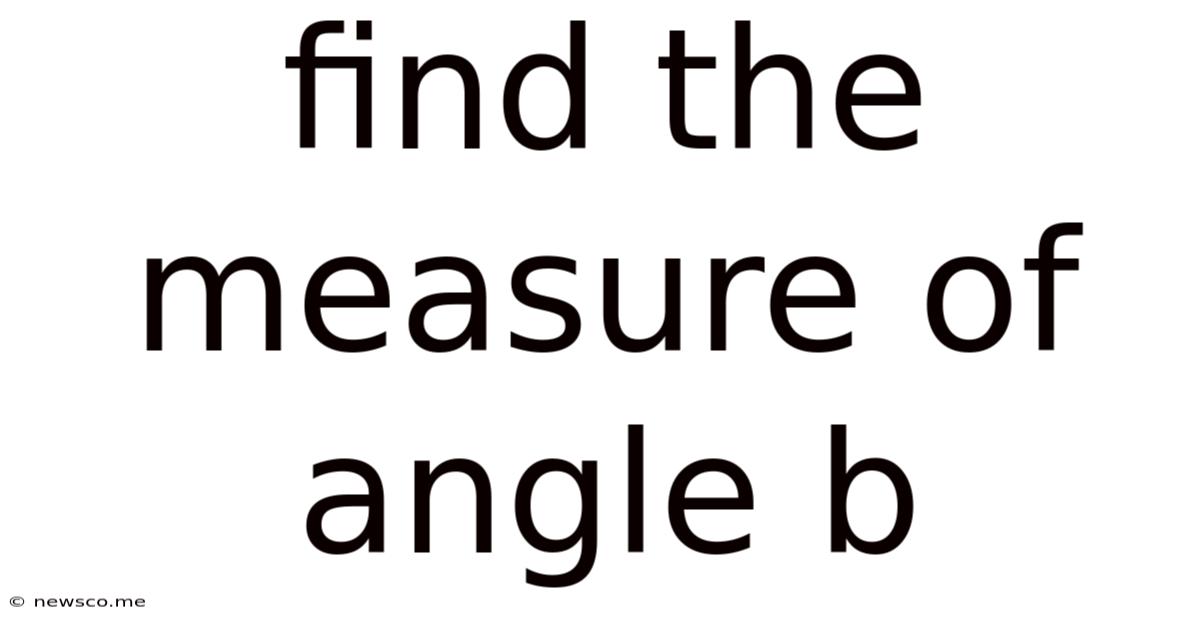 Find The Measure Of Angle B