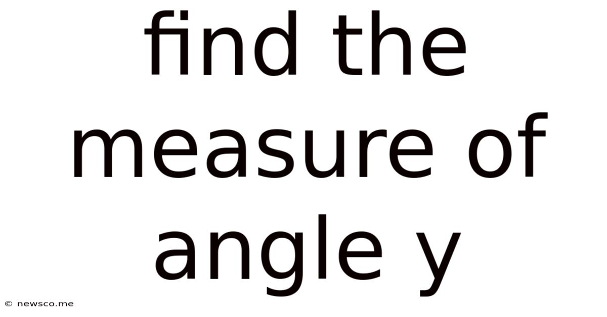 Find The Measure Of Angle Y