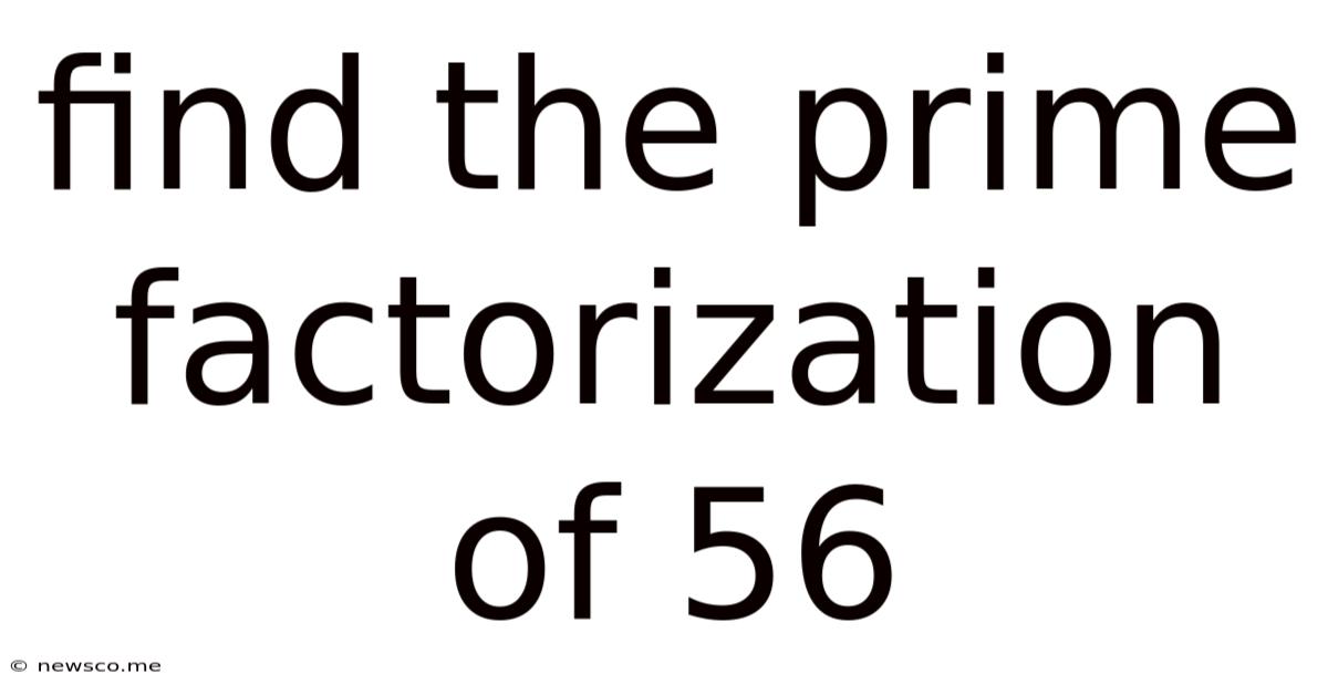 Find The Prime Factorization Of 56