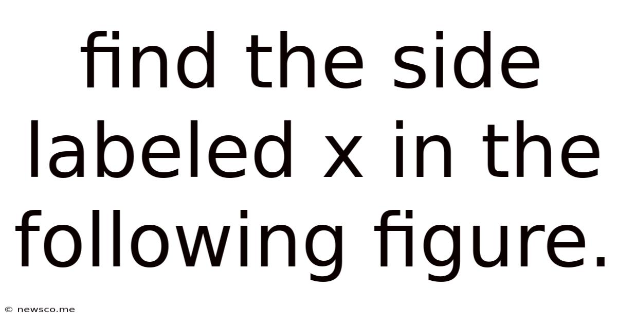 Find The Side Labeled X In The Following Figure.