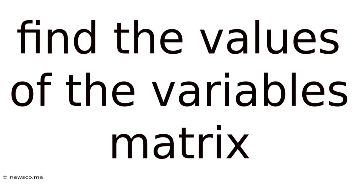 Find The Values Of The Variables Matrix