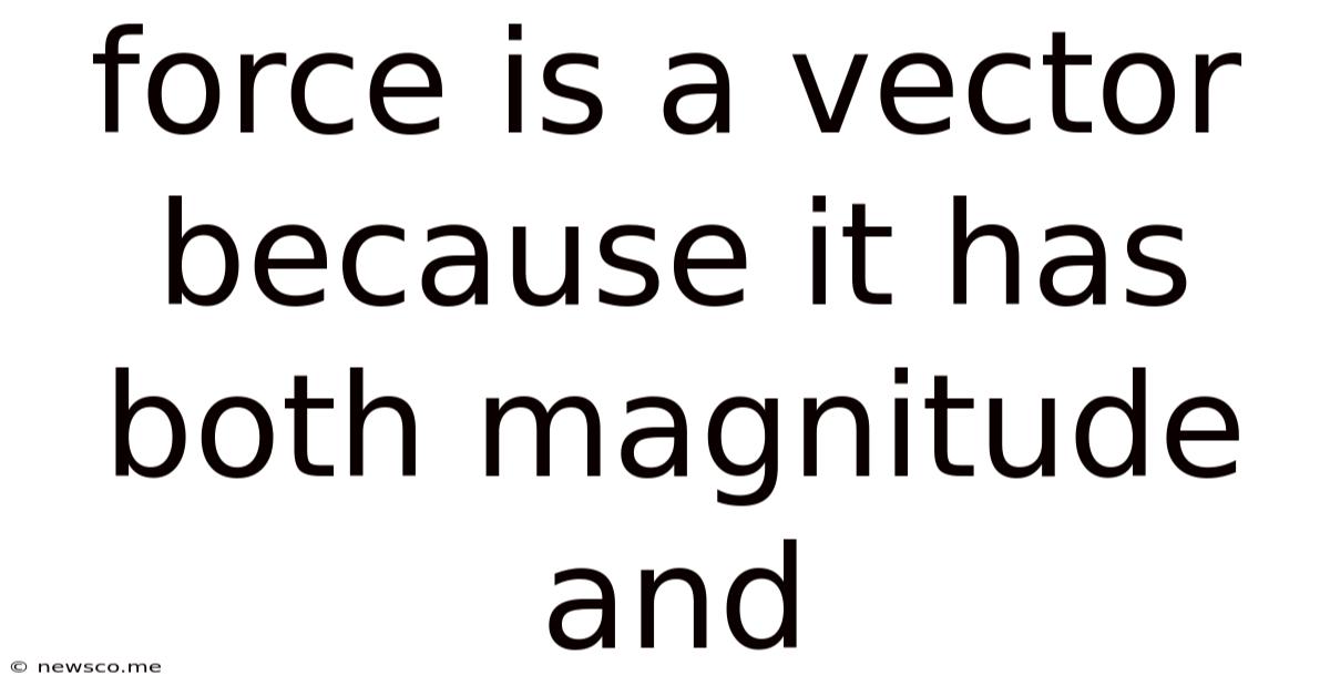 Force Is A Vector Because It Has Both Magnitude And