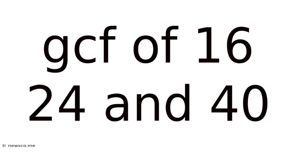 Gcf Of 16 24 And 40