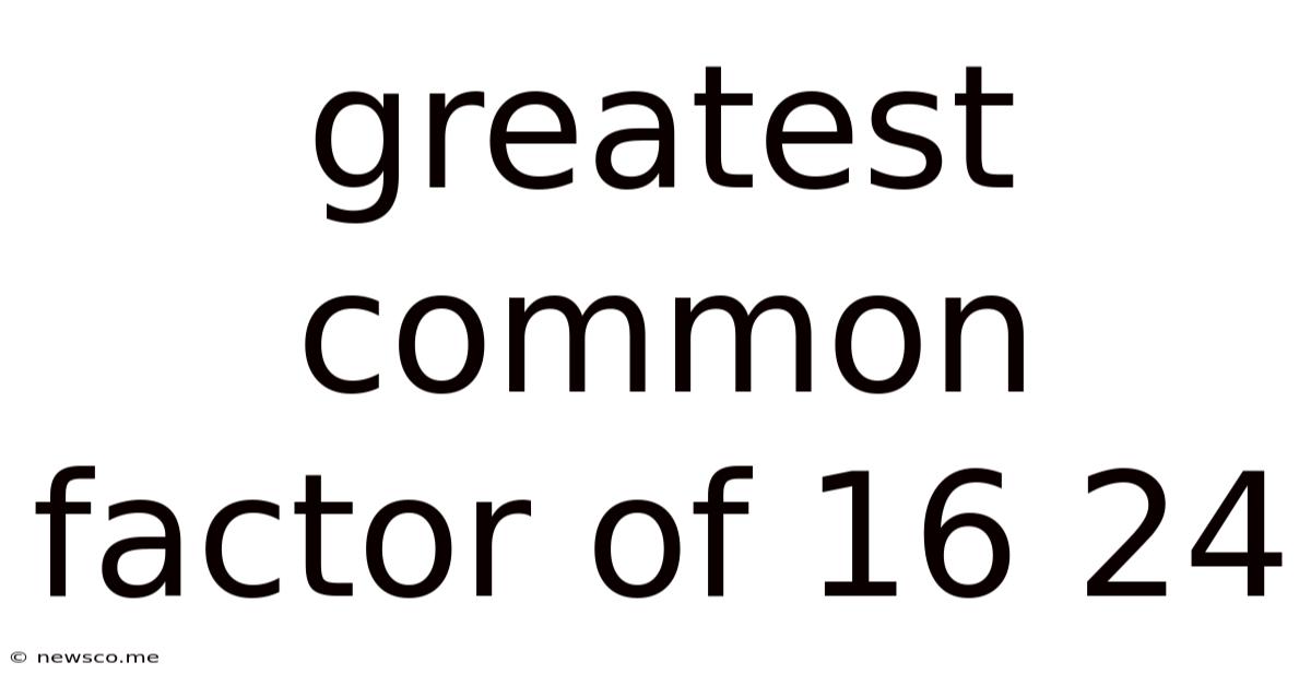 Greatest Common Factor Of 16 24