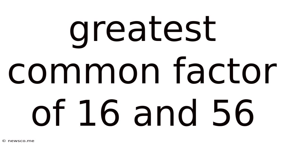 Greatest Common Factor Of 16 And 56