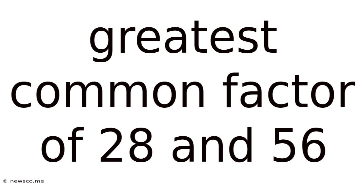 Greatest Common Factor Of 28 And 56