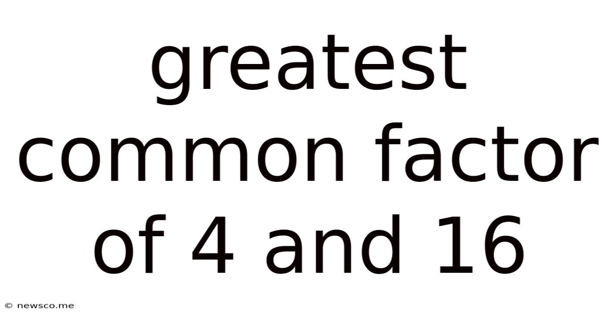Greatest Common Factor Of 4 And 16